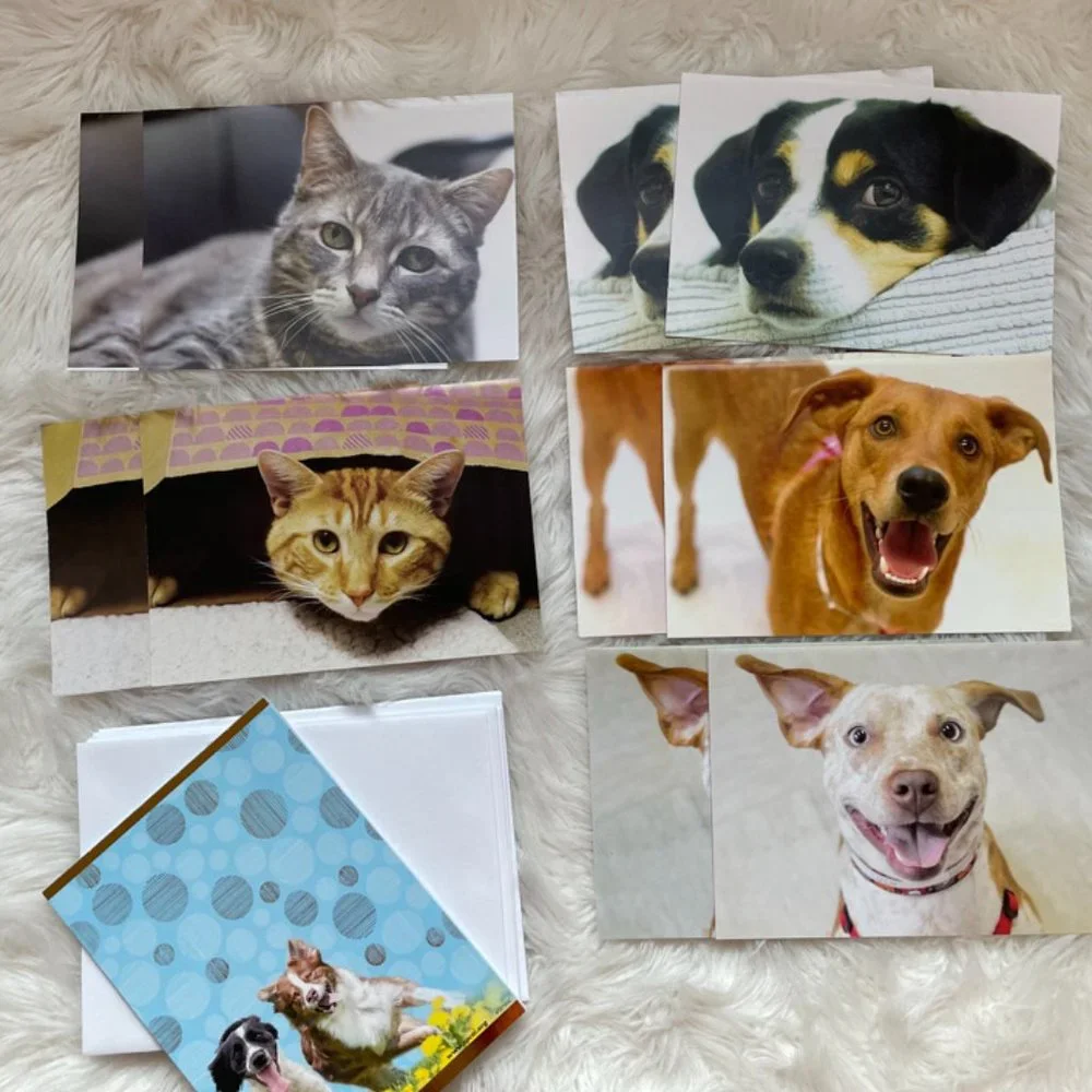 10 Cute Cuddly Cats & Dogs Cards, with matching print envelopes, 1 notebook